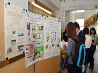 IF IM CAD Symposium 2013 Edition